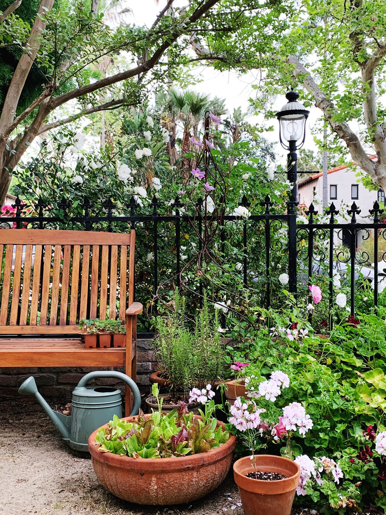 Spiral Trellis with flowers growing