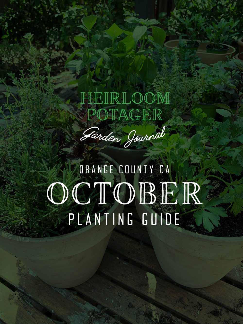 Heirloom Potager Garden Journal | Orange County, CA October Planting Guide
