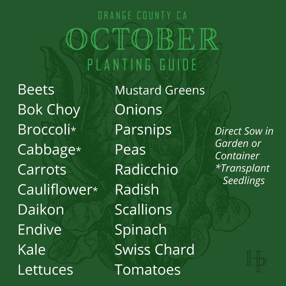 Orange County, CA October Planting List