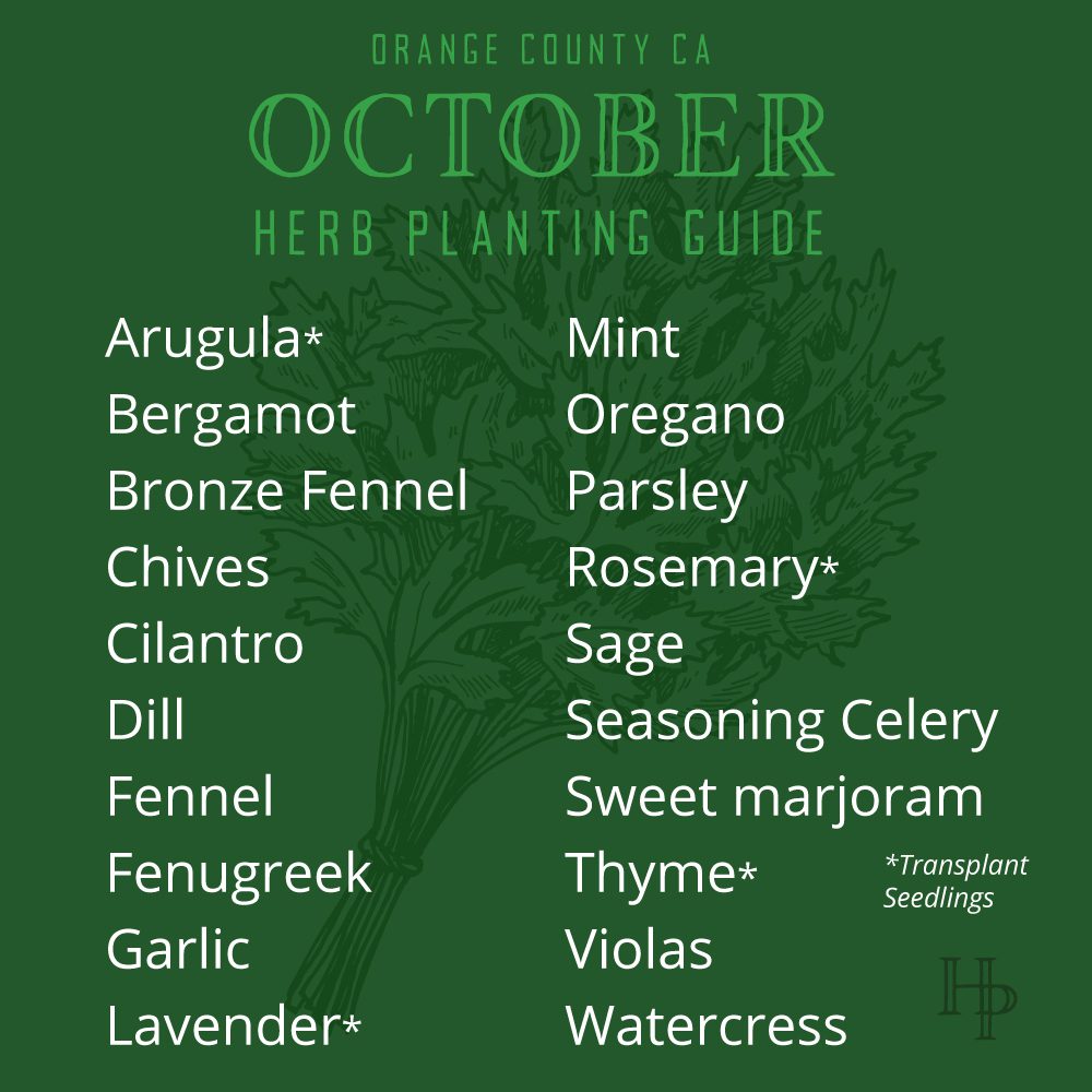 Orange County, CA October Herb Planting List