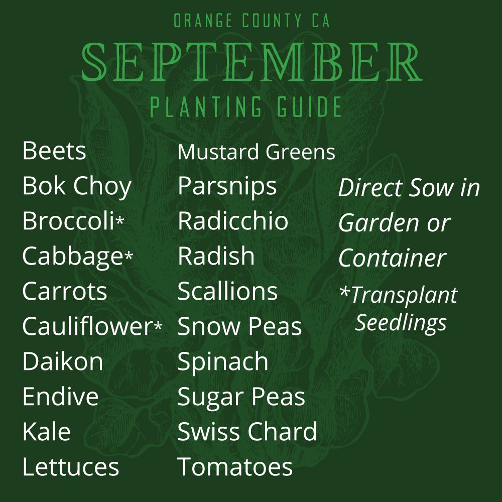 Orange County, CA September Planting List