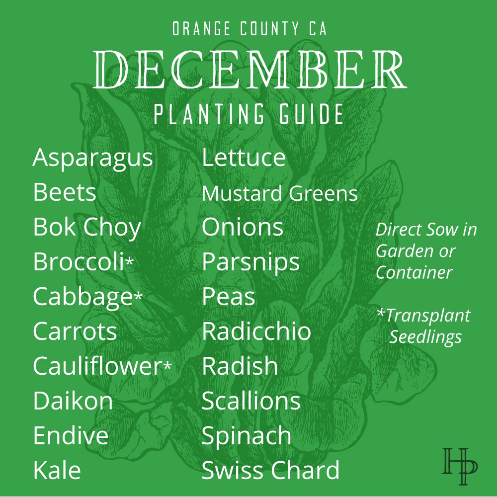 Orange County, CA December Planting List