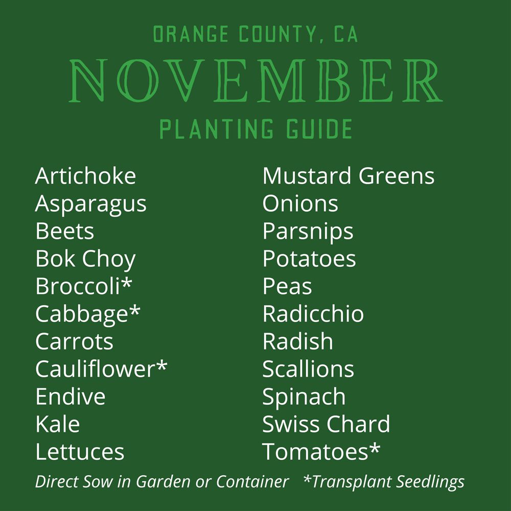 Orange County, CA November Planting List