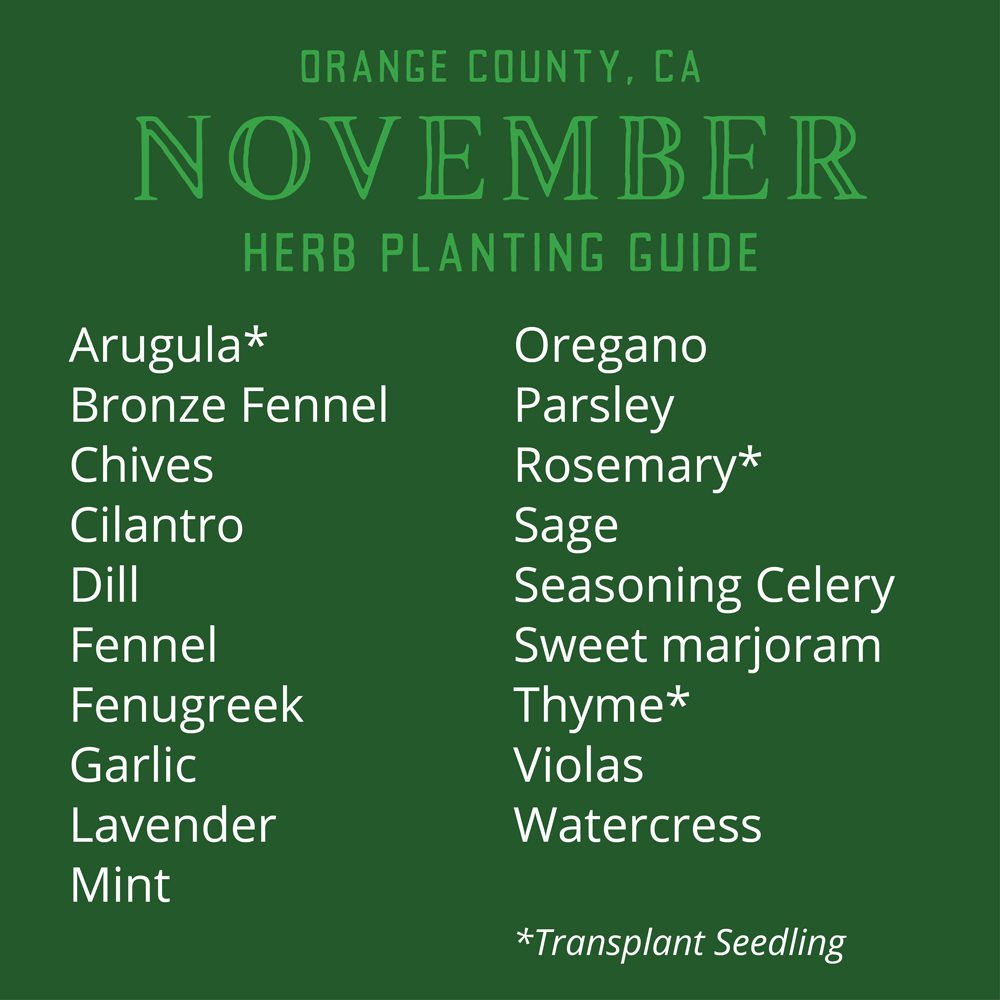 Orange County, CA November Herb Planting List