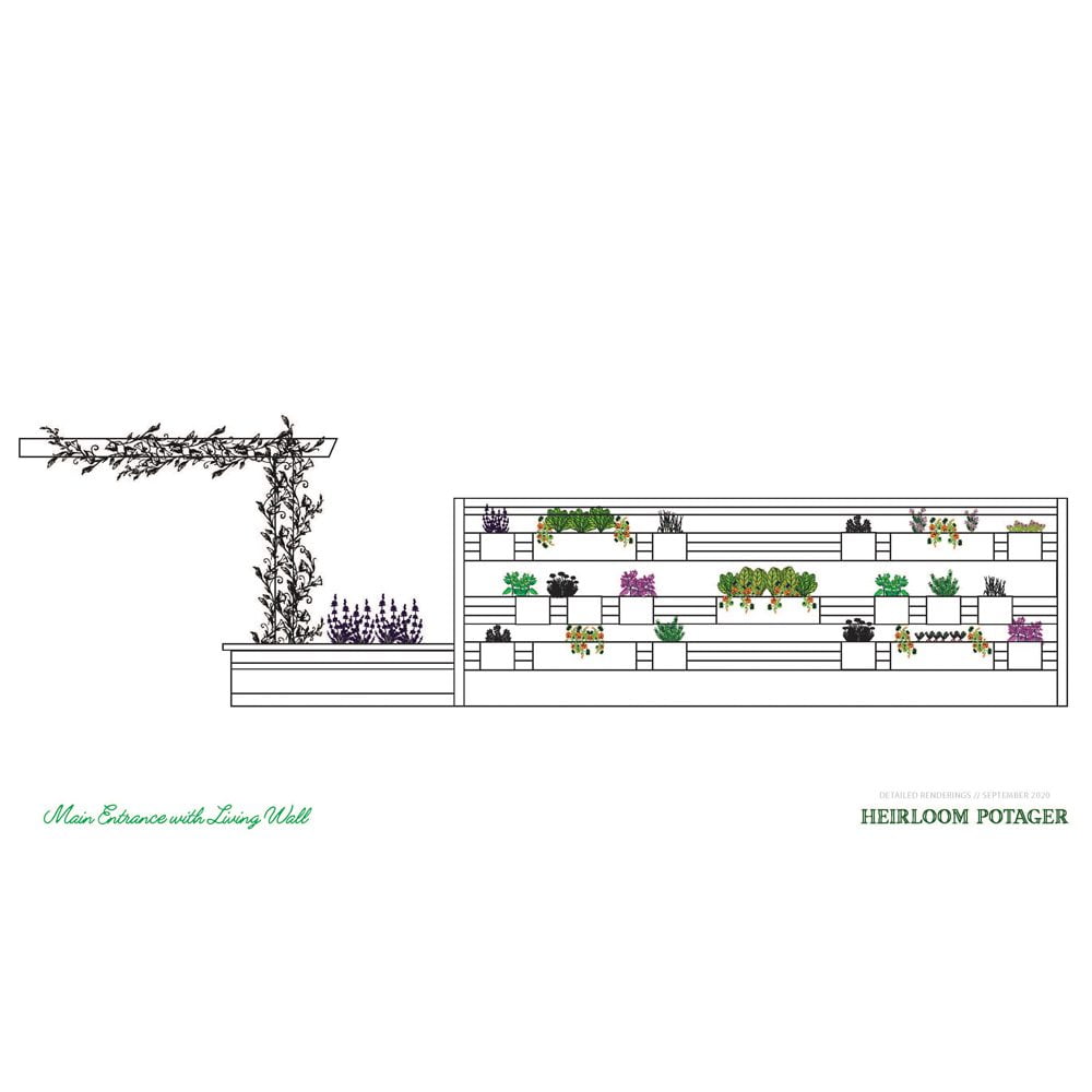 ICAN Culinary Garden Rendering of Living Wall and main entrance | Copyright Heirloom Potager