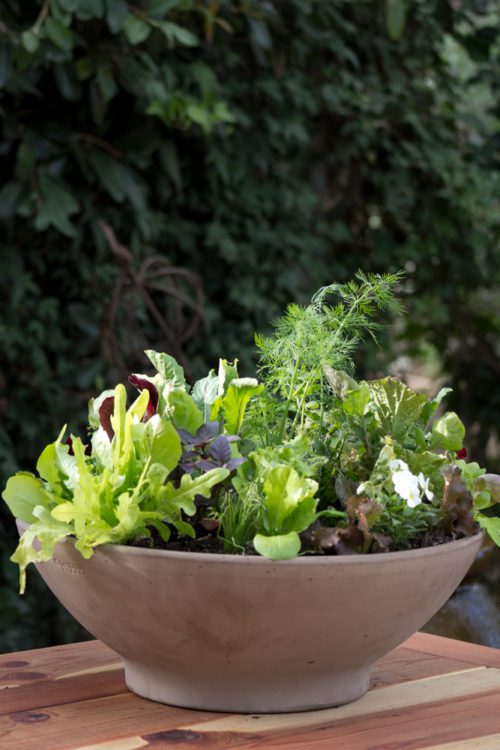 Heirloom Potager Large Culinary Salad Bowl