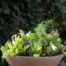 Heirloom Potager Large Culinary Salad Bowl