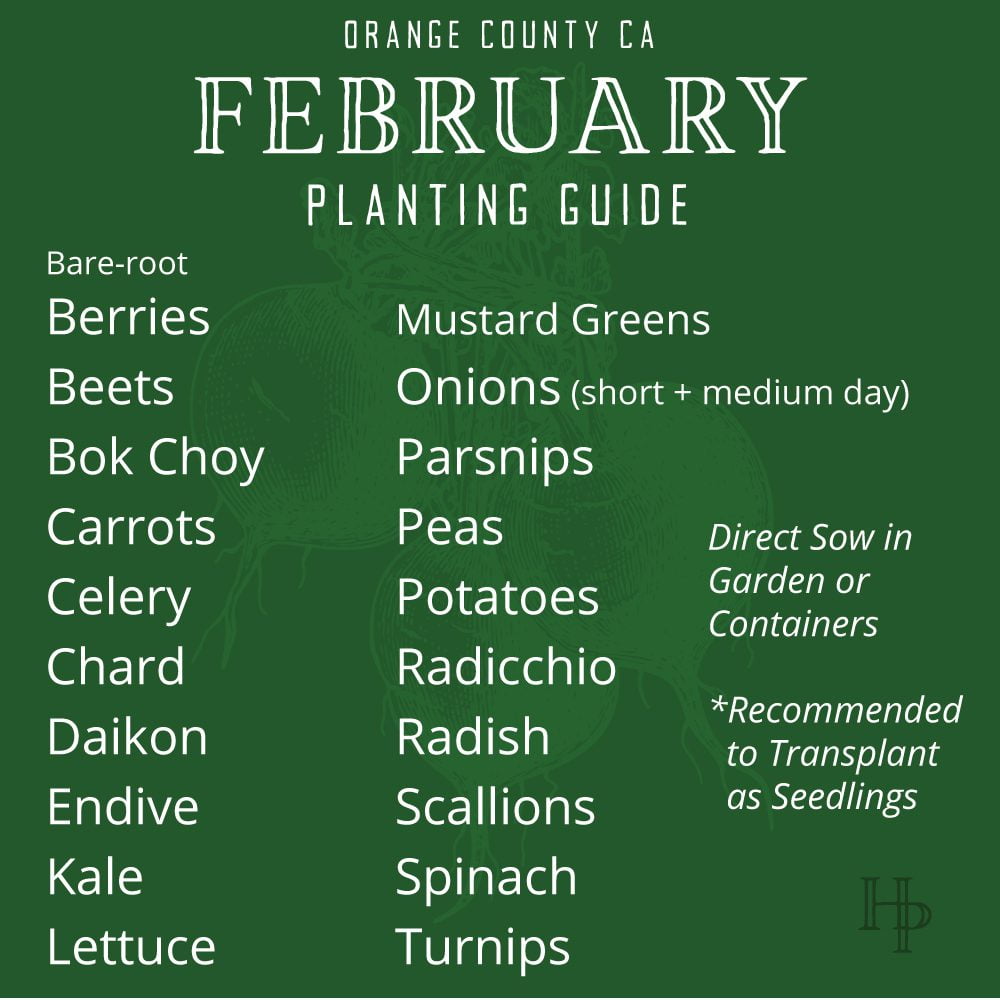Orange County, CA February Planting List