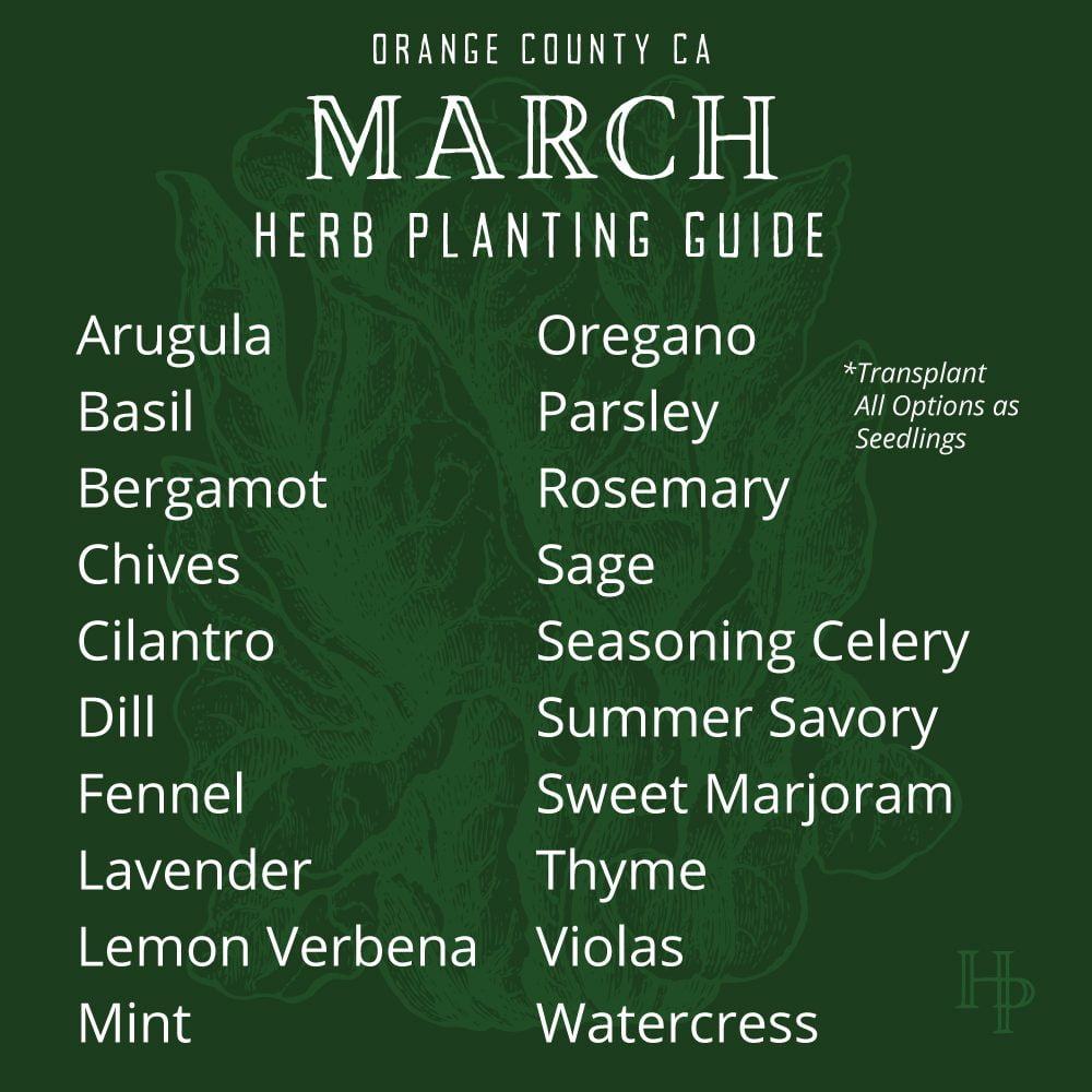 Orange County, CA March Herb Planting List