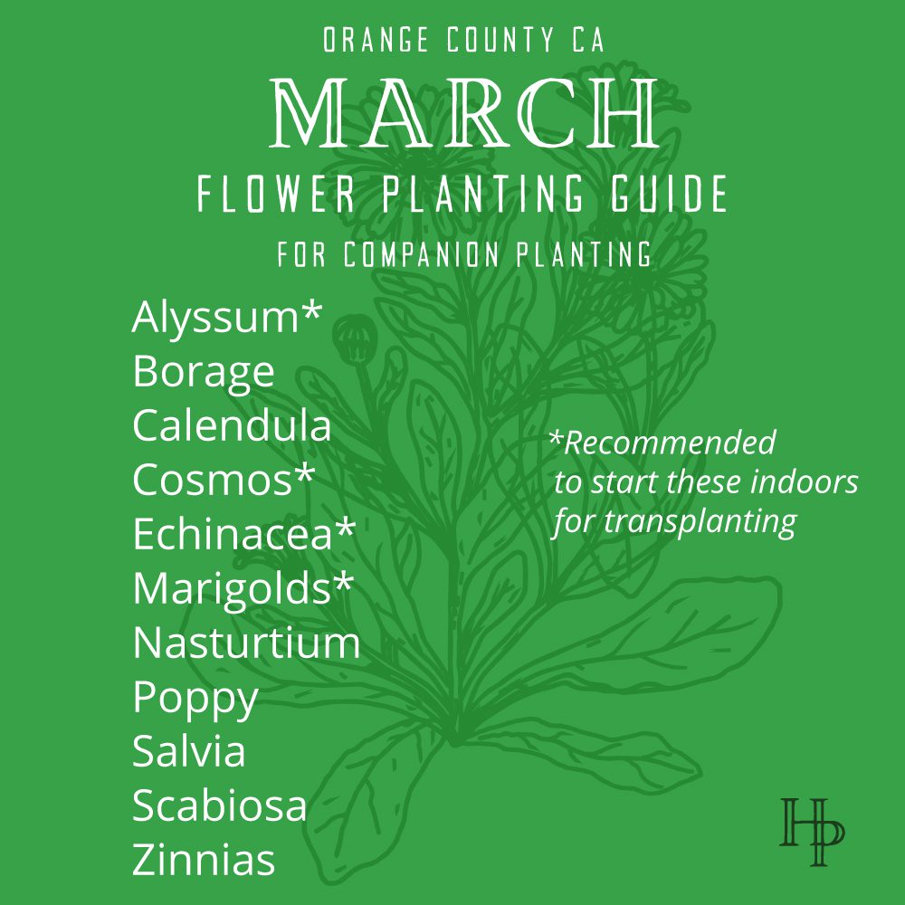 Orange County, CA March Flower Planting List