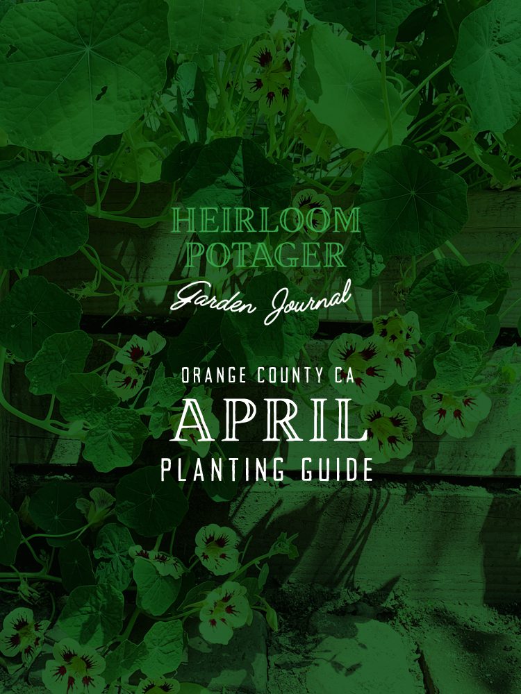 Heirloom Potager Garden Journal | Orange County, CA April Planting Guide