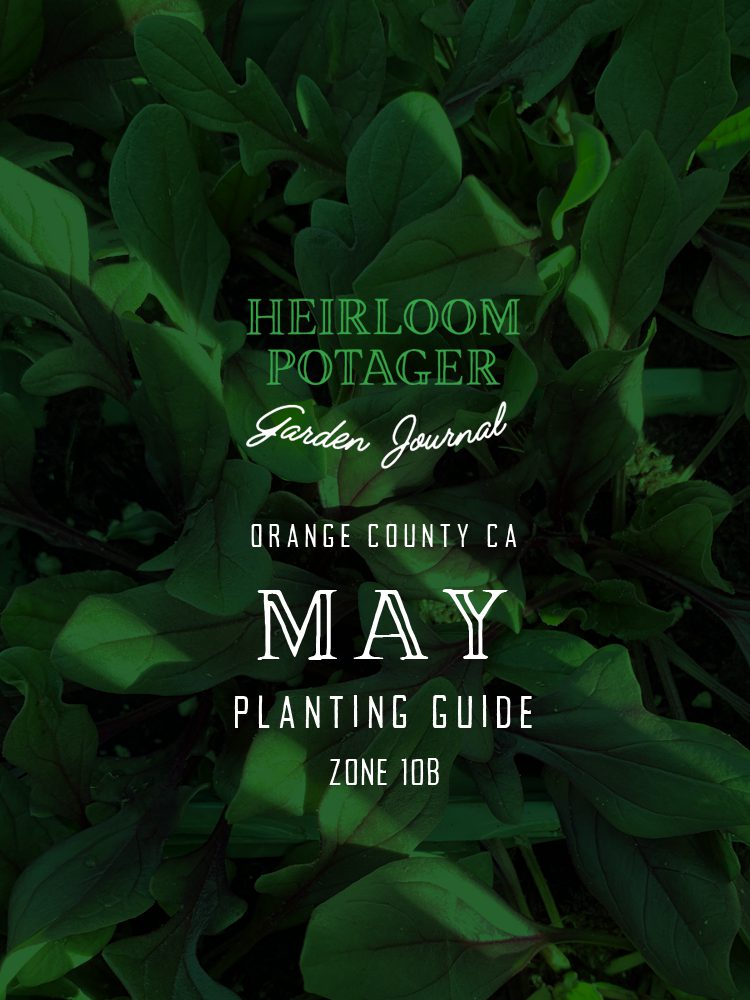 Heirloom Potager Garden Journal | Orange County, CA May Planting Guide