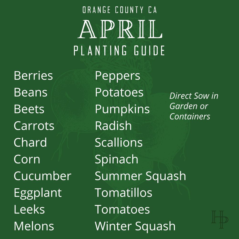 Orange County, CA April Planting List