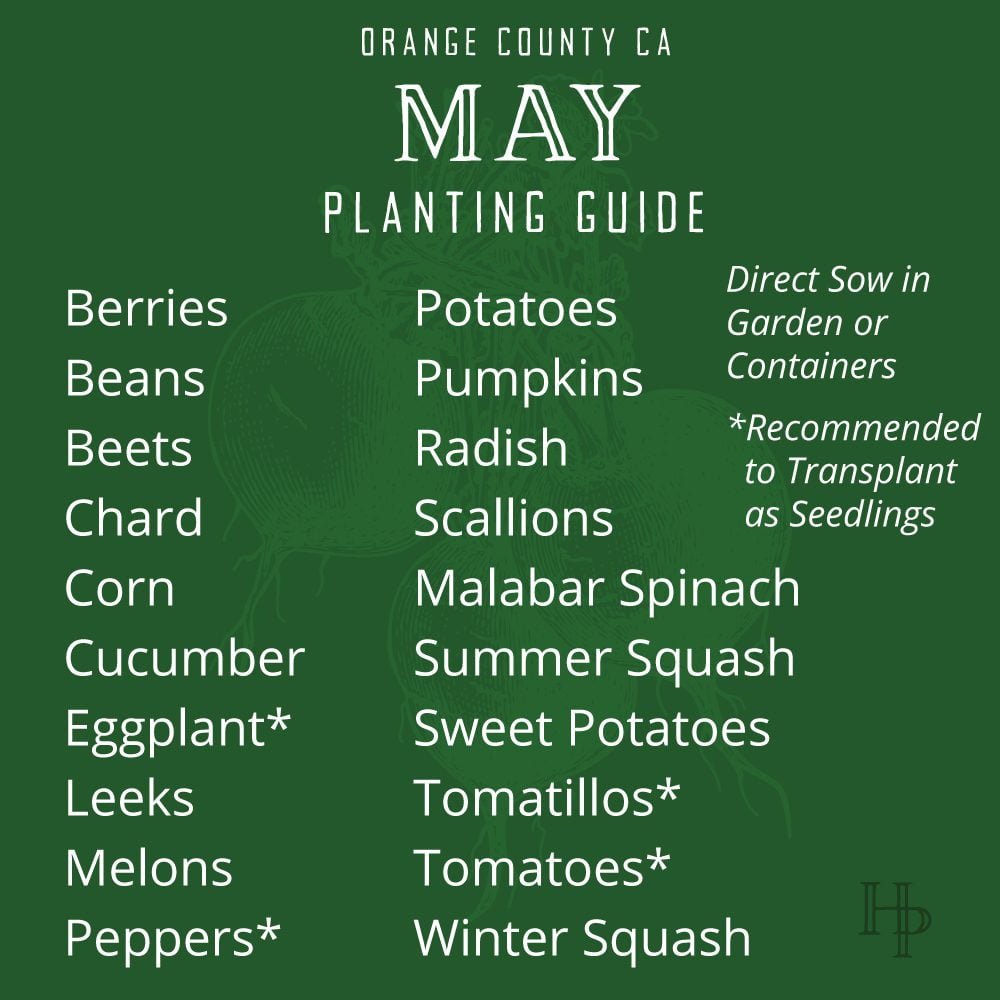 Orange County, CA May Planting List