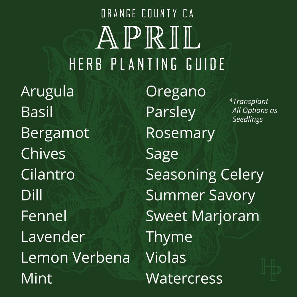 Orange County, CA April Herb Planting List