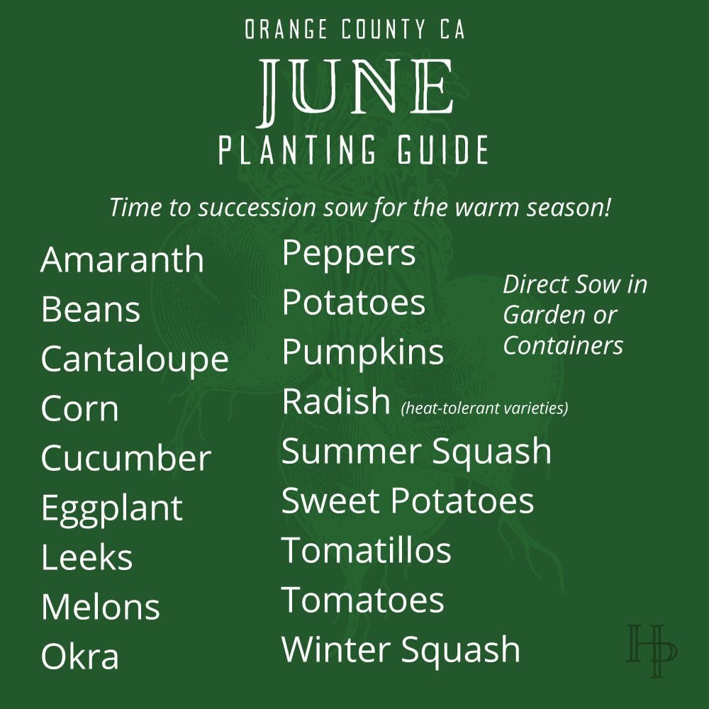 Orange County, CA June Planting List