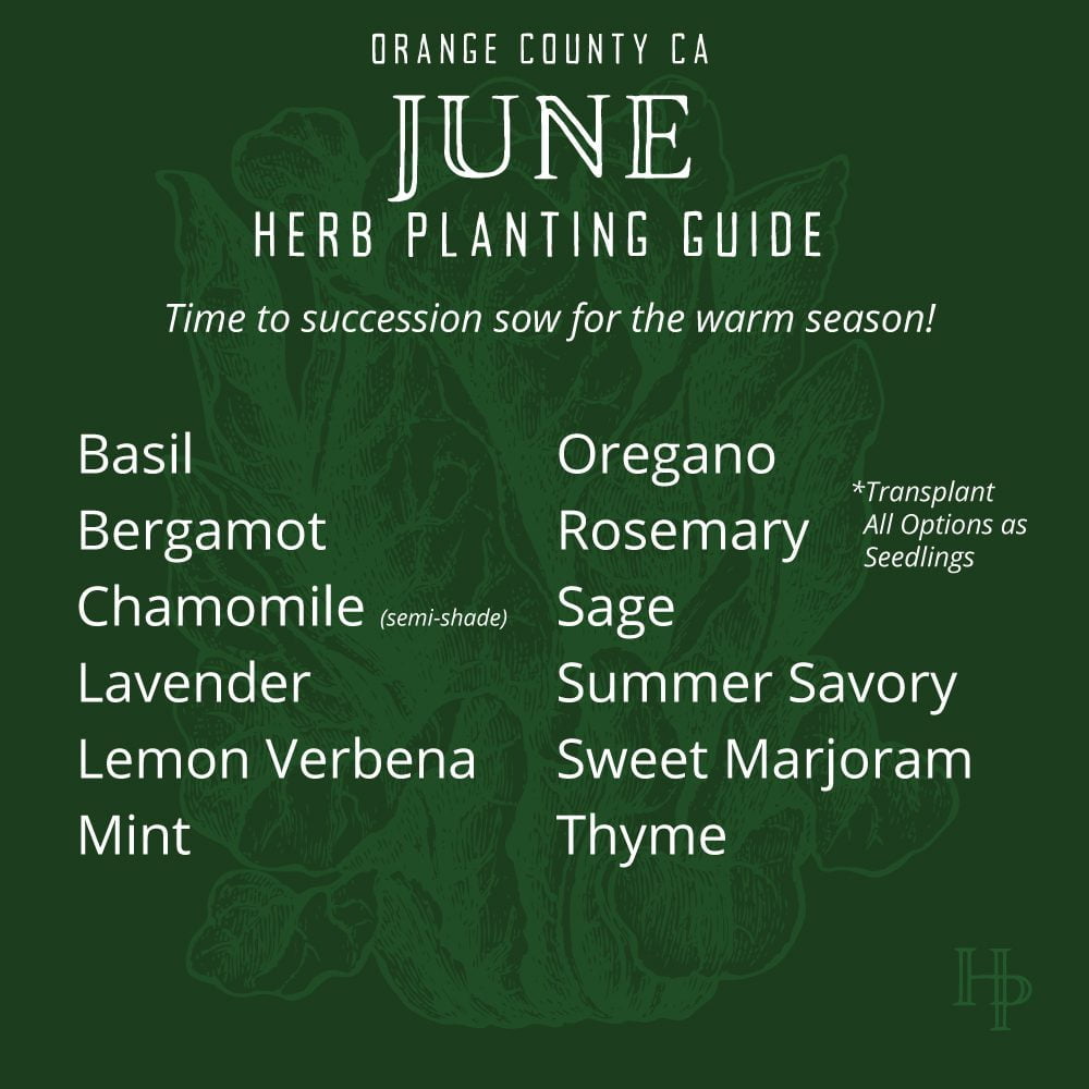 Orange County, CA June Herb Planting List