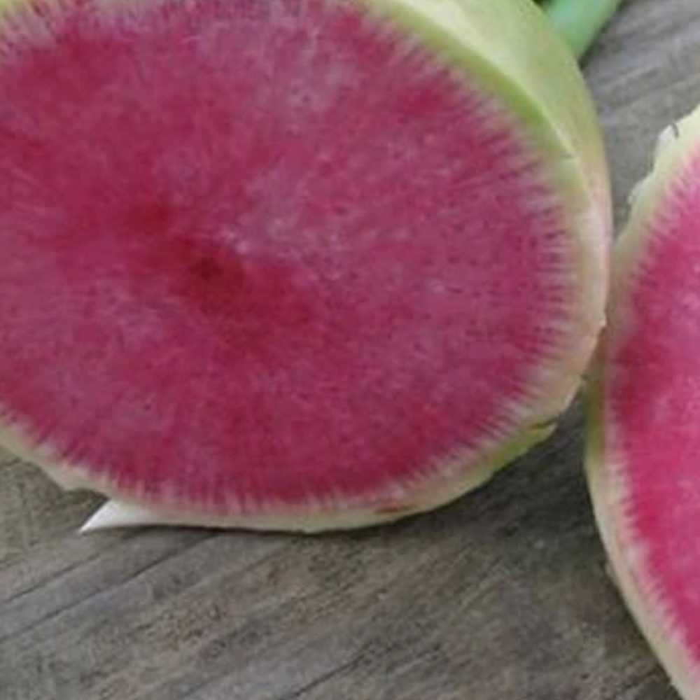 Slice of Watermelon Radish
