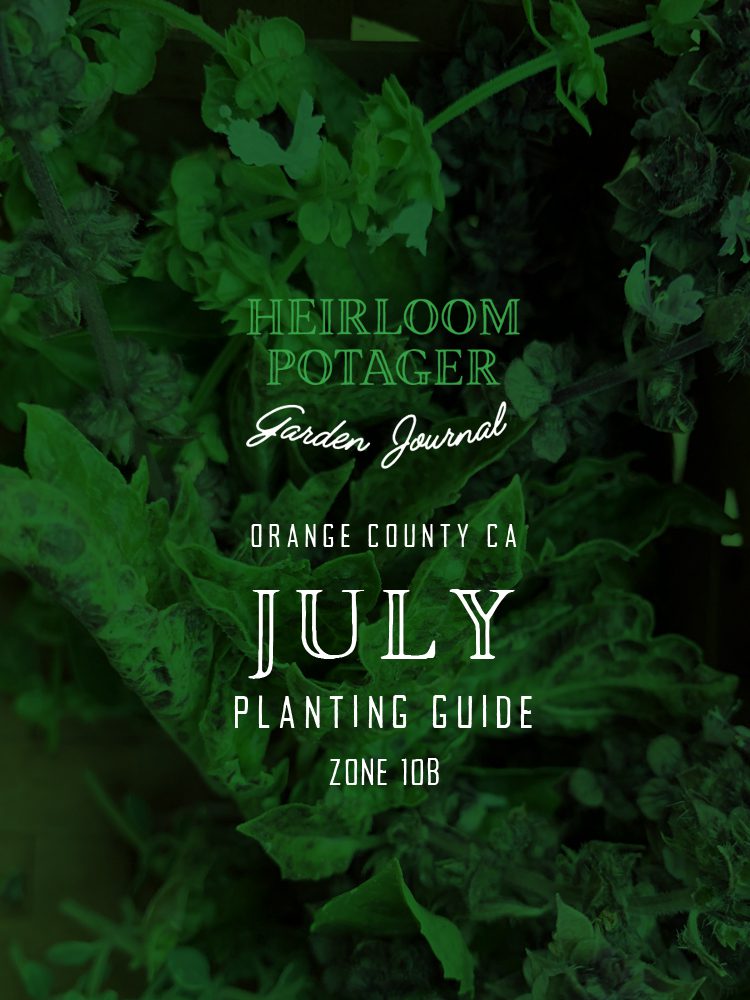 Heirloom Potager Garden Journal | Orange County, CA July Planting Guide