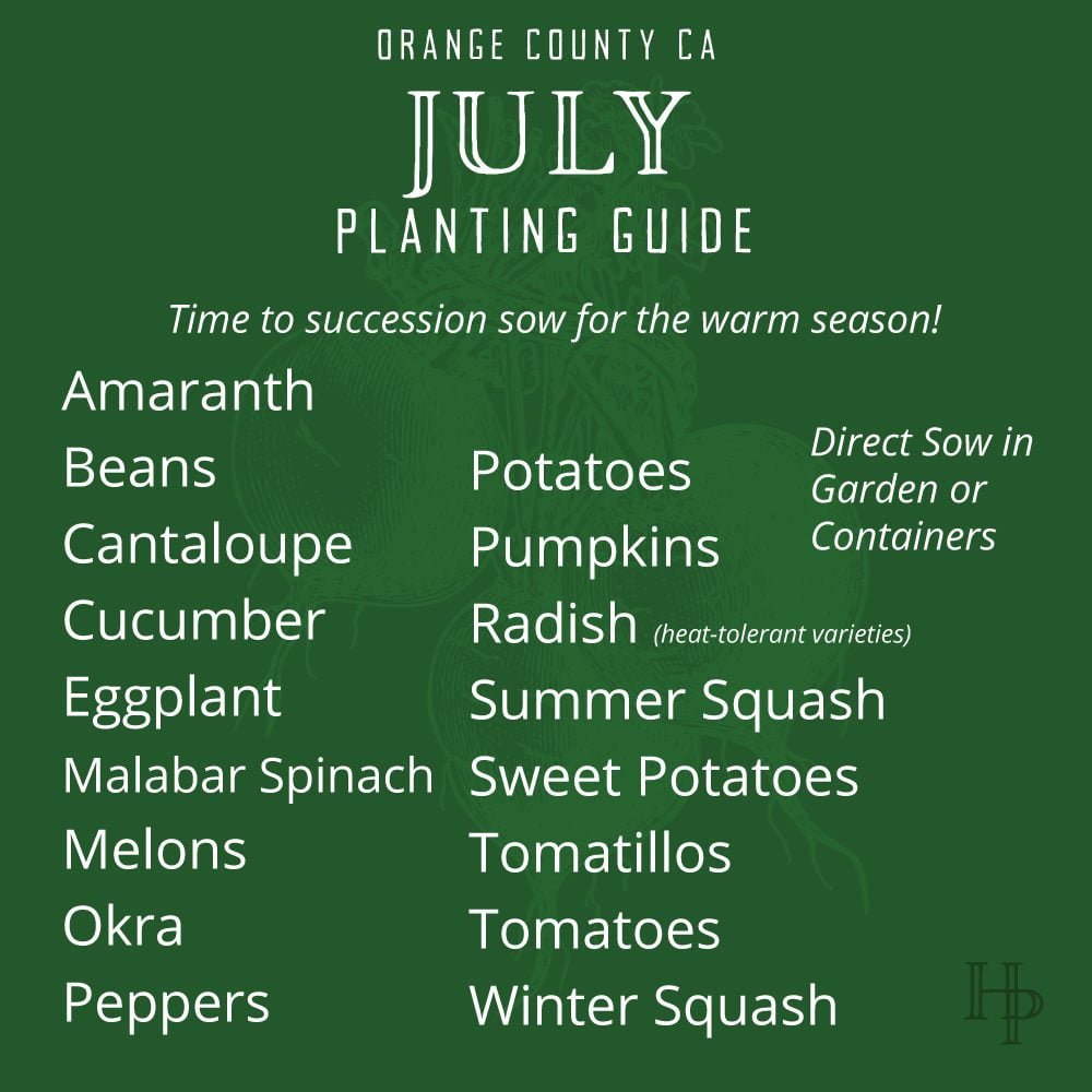 Orange County, CA July Planting List
