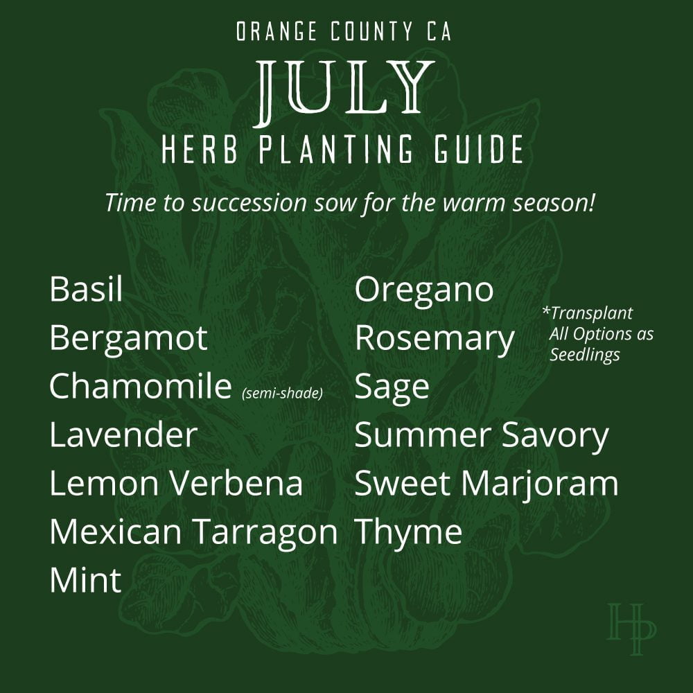 Orange County, CA July Herb Planting List