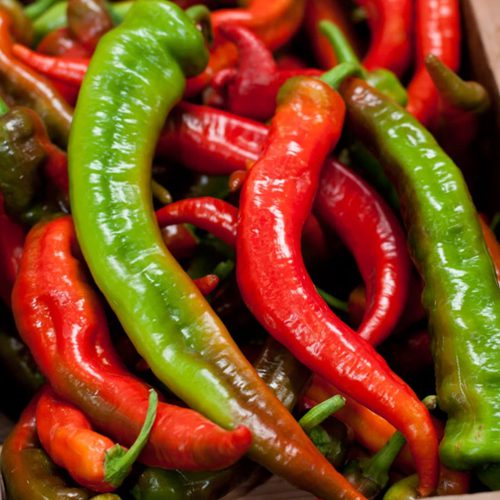 Nardello Peppers from Peaceful Valley