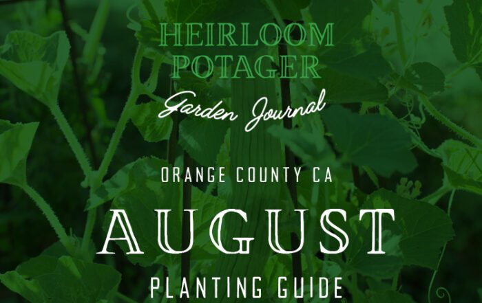 Orange County August planting guide