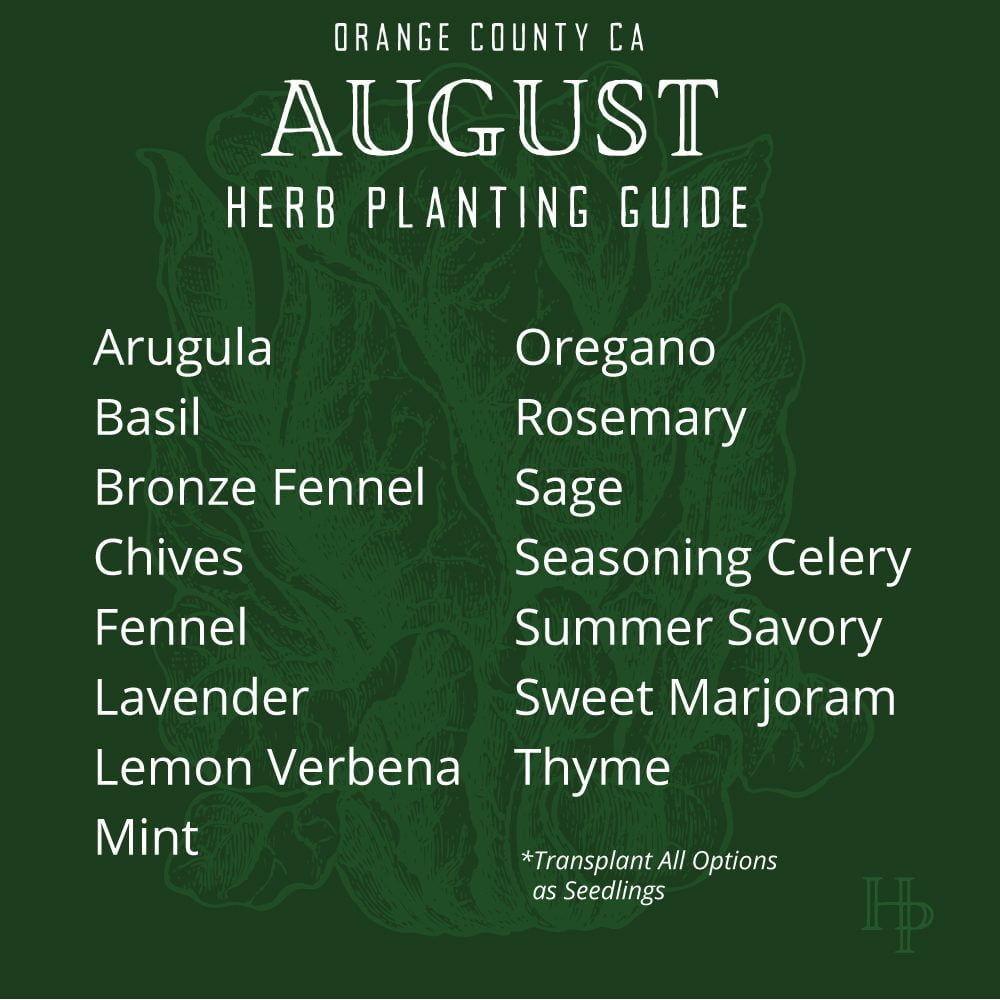 Orange County August planting guide