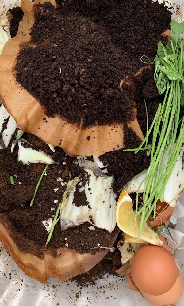 Gathered Kitchen Scraps for Composting - coffee grounds, eggshells, herbs, lemon peels