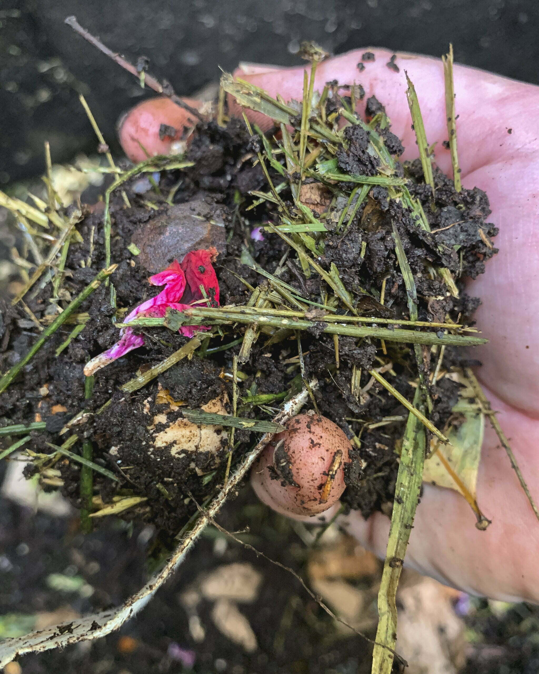 Composting Methods | Cold Composting - Hand holding partially decomposed compost with grass clippings, food scraps, and deadheaded flowers