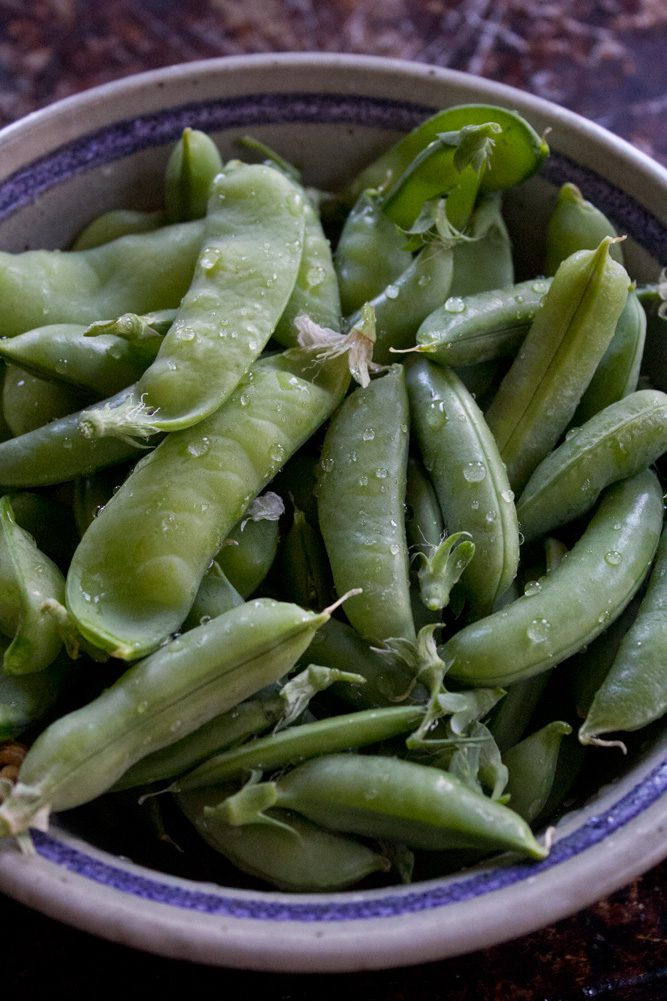 2022_FreshPeaHummus_2_web Bowl of freshly washed snap peas from the Heirloom Potager Showcase Garden