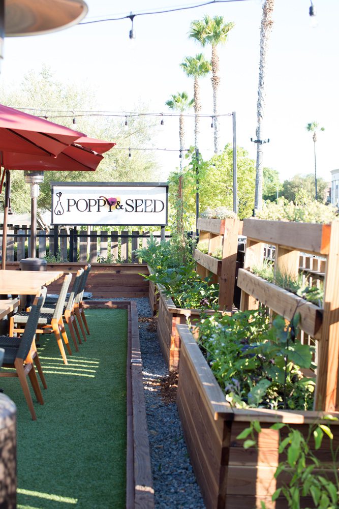 Garden Seating area at Poppy & Seed restaurant in Anaheim, CA full of raised garden beds | Photo by Nicole Kent