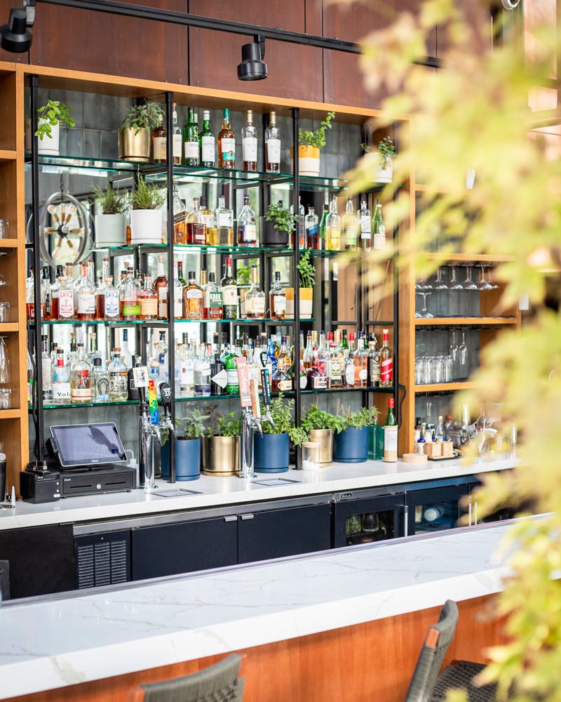 Close up view of library bar at Poppy & Seed in Anaheim, CA full of unique liquor and fresh garden herbs | Photo by Jill Cook
