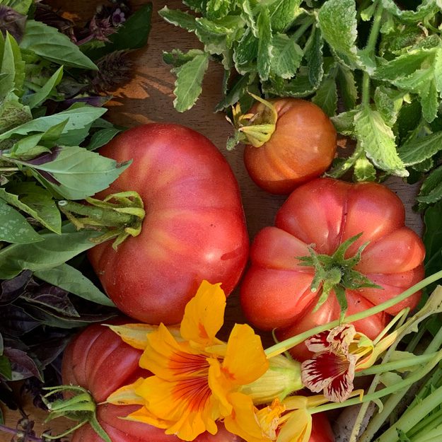 Salad Philosophy: Close up image of salad fruits + vegetables: tomatoes, basil, radishes, nasturtium flowers