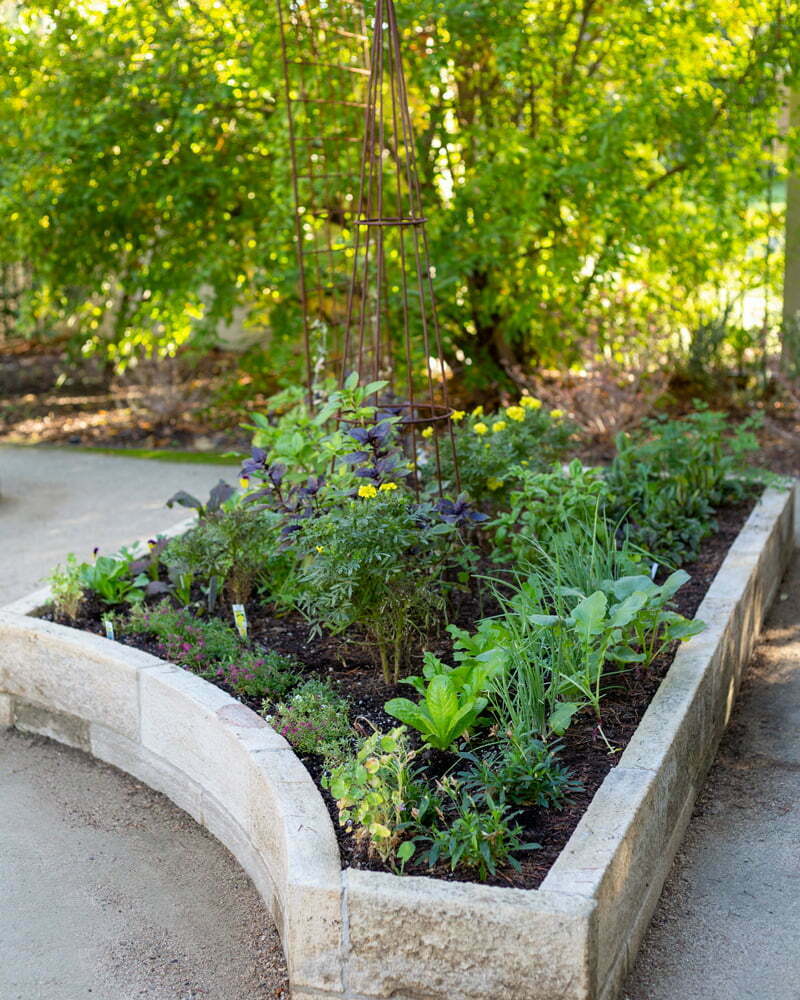 water-wise edible garden