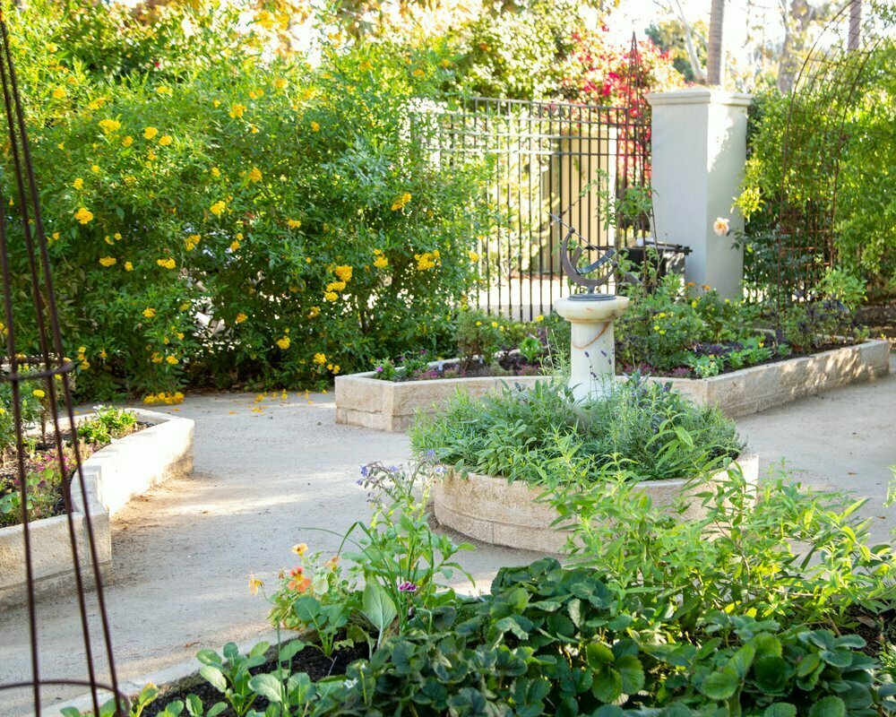 Classic Potager Garden on historic estate | Santa Ana Edible Landscape