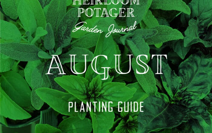 Zone 9b August Planting Guide