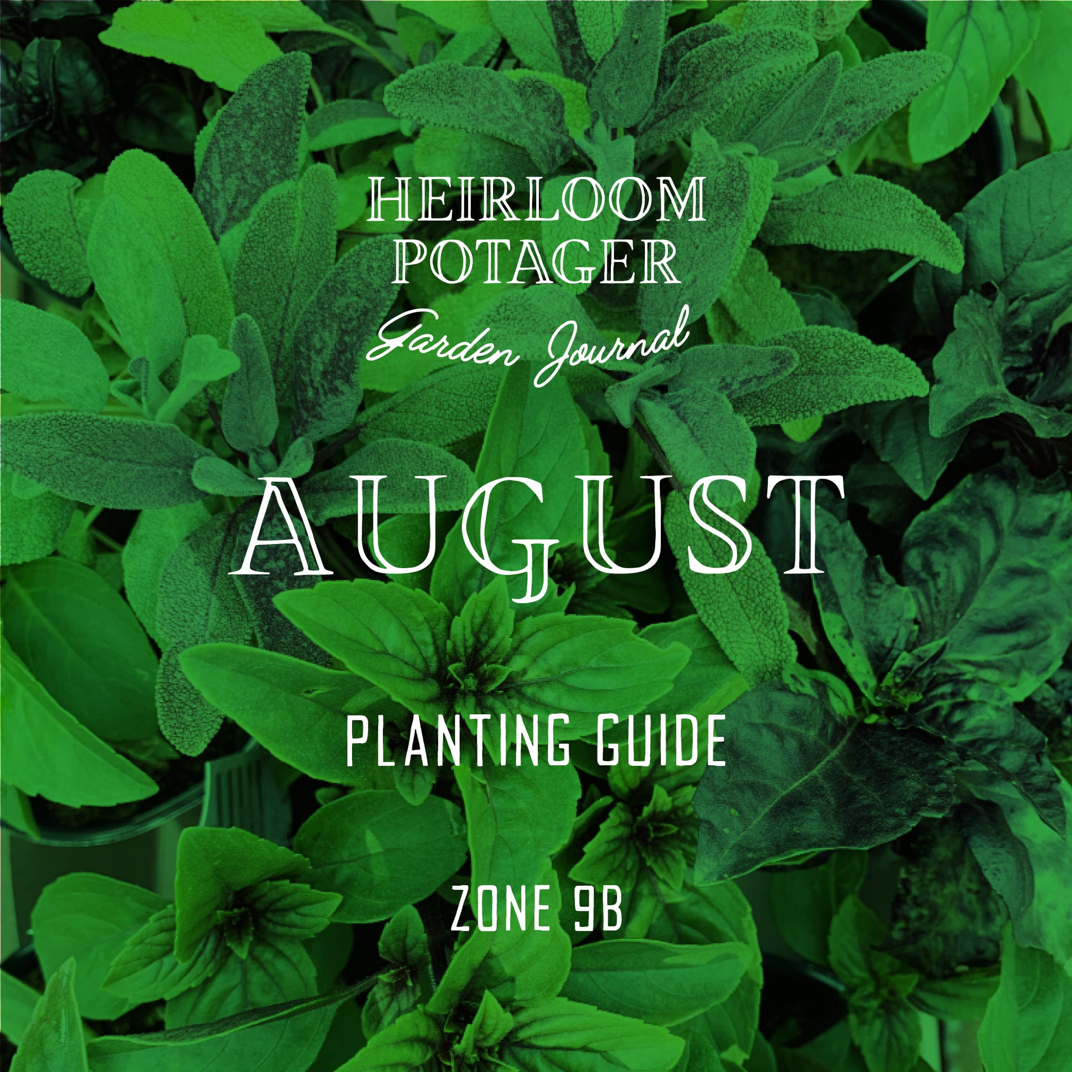 Zone 9b August Planting Guide