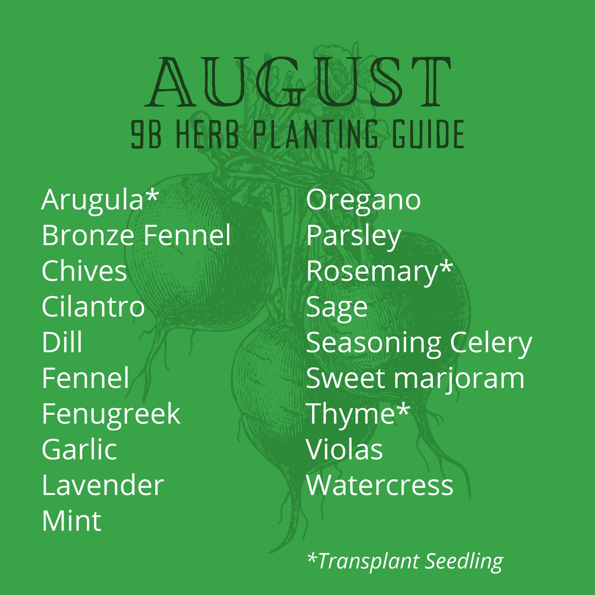 Orange County August planting guide