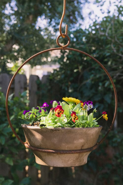 Hanging Circle Pottery Holder with grey terracotta pottery