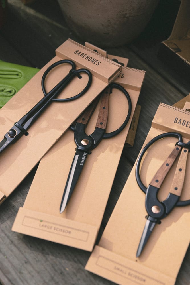 New Barebones Garden Scissors