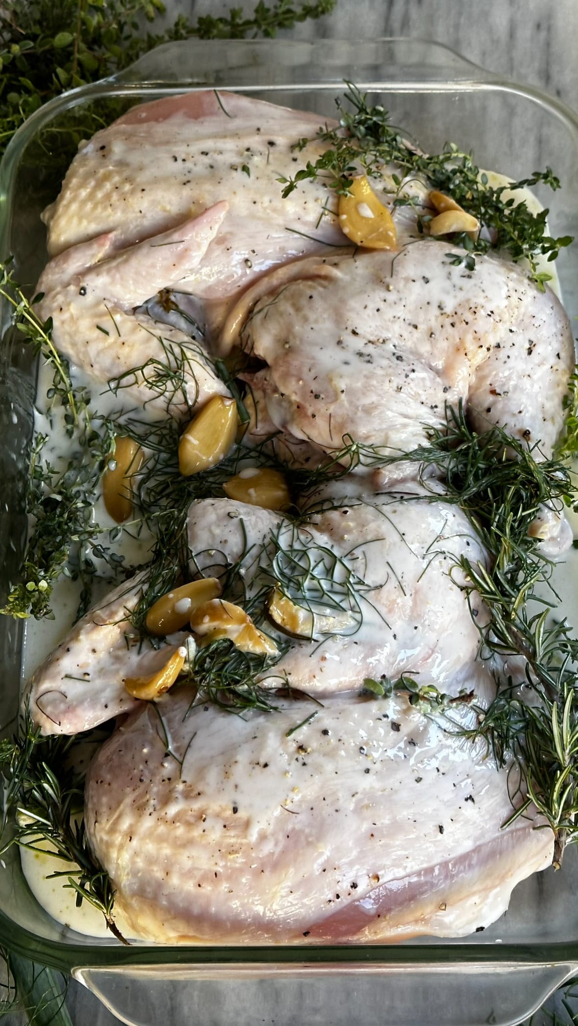 Buttermilk-brined Chicken ready for the grill - uncooked chicken marinating in buttermilk seasoned with fresh garden herbs and garlic